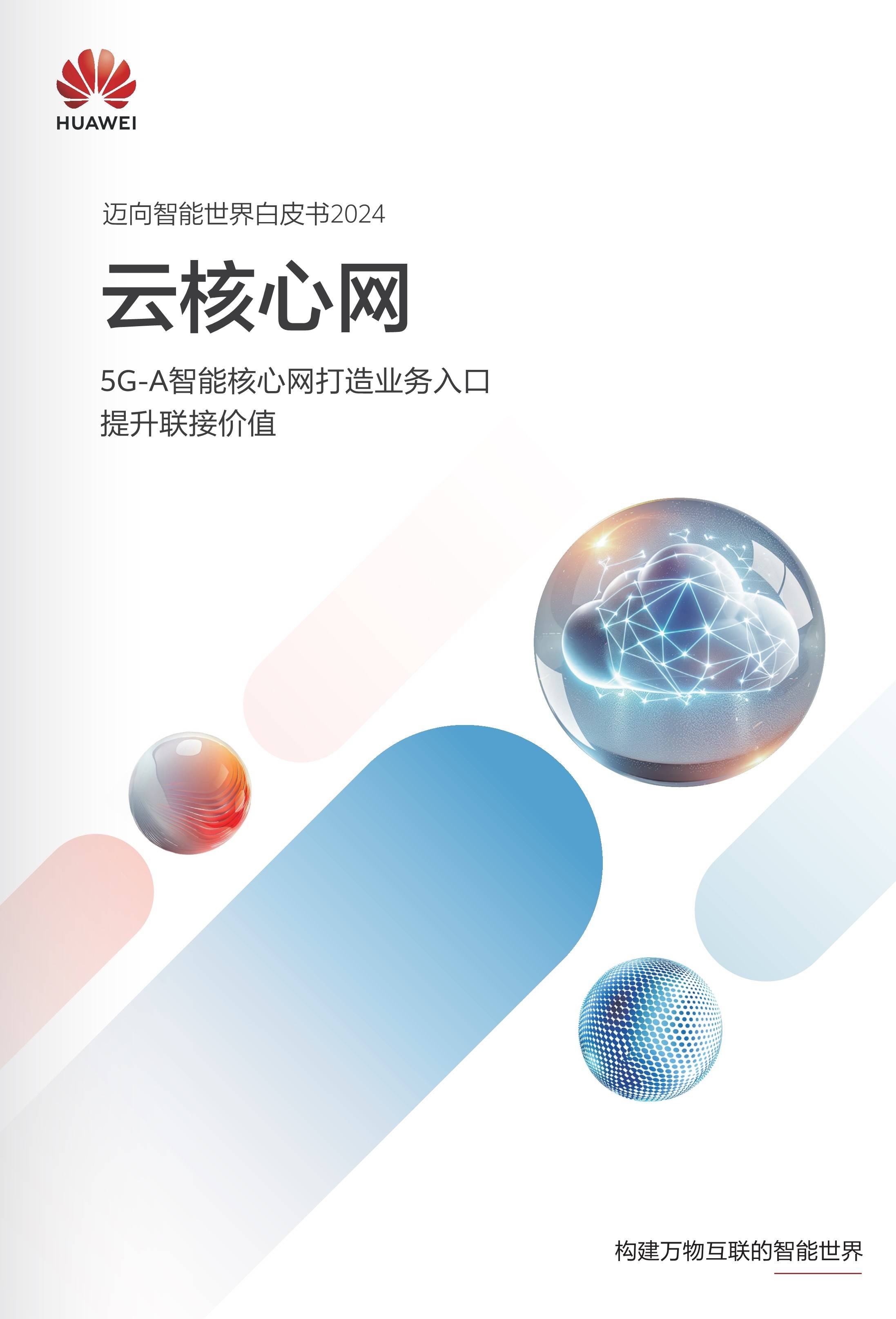 迈向智能世界白皮书2024-云核心网