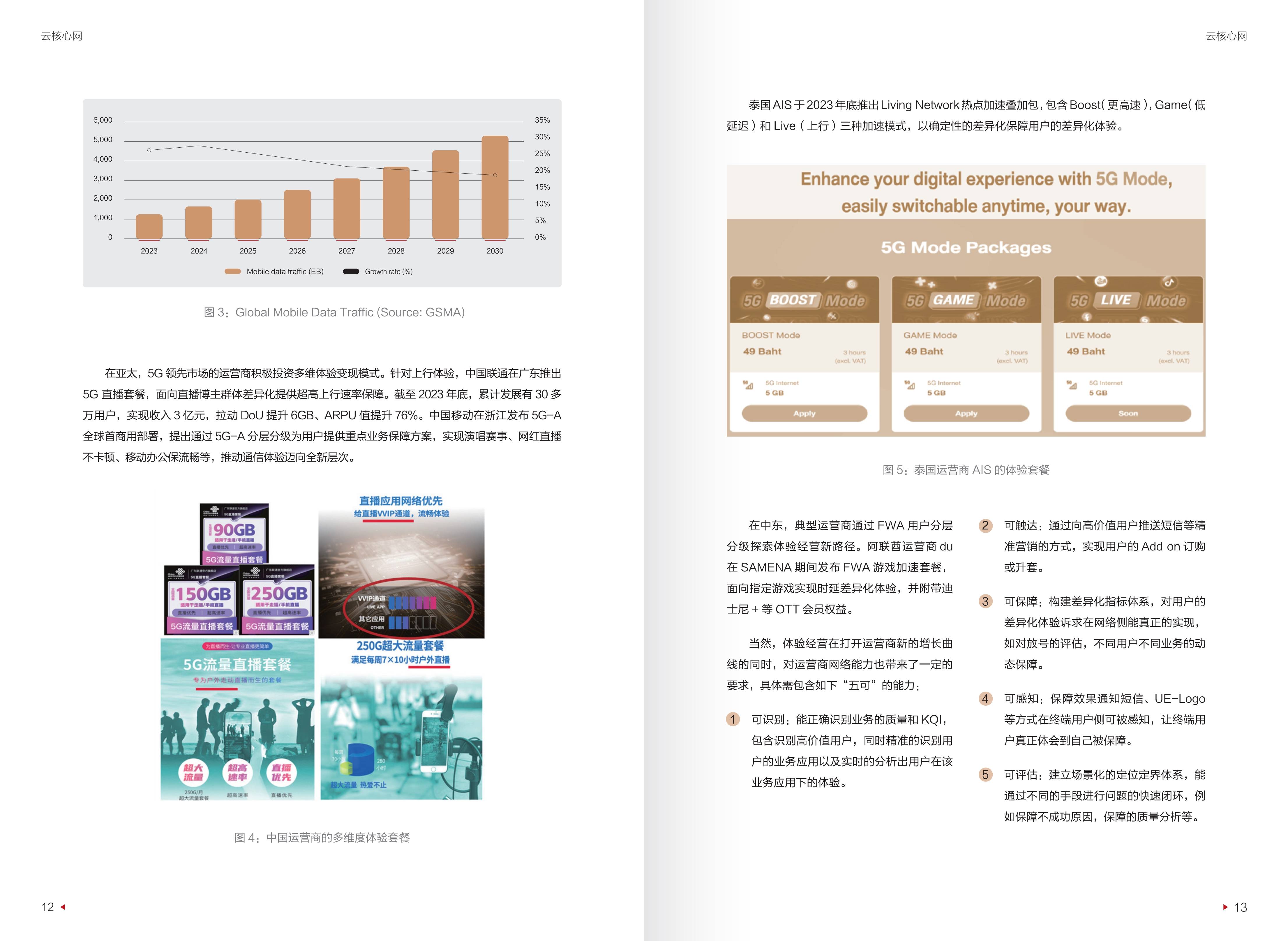 迈向智能世界白皮书2024-云核心网