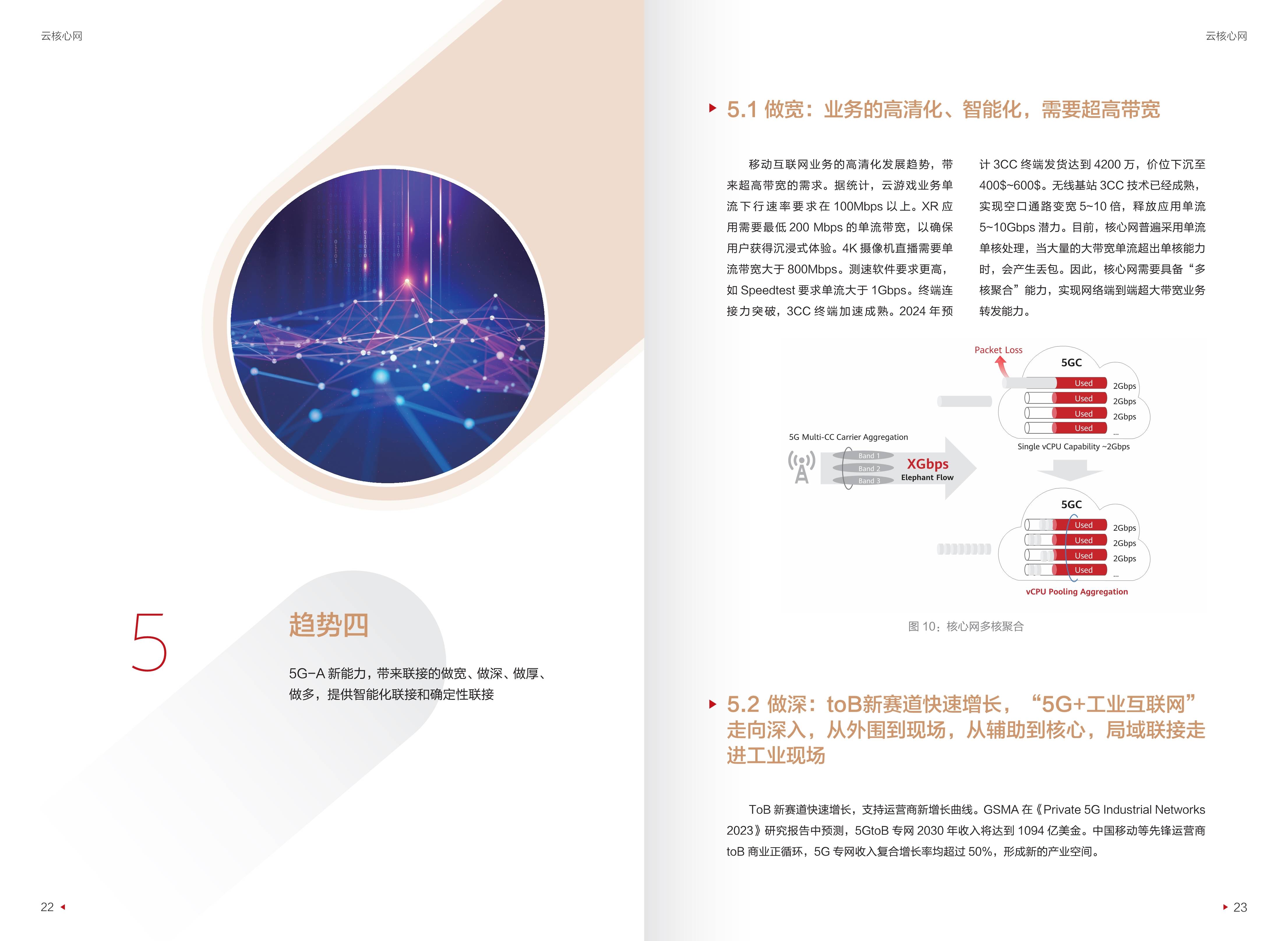 迈向智能世界白皮书2024-云核心网