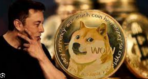 doge币行情(doge币行情最新价格)