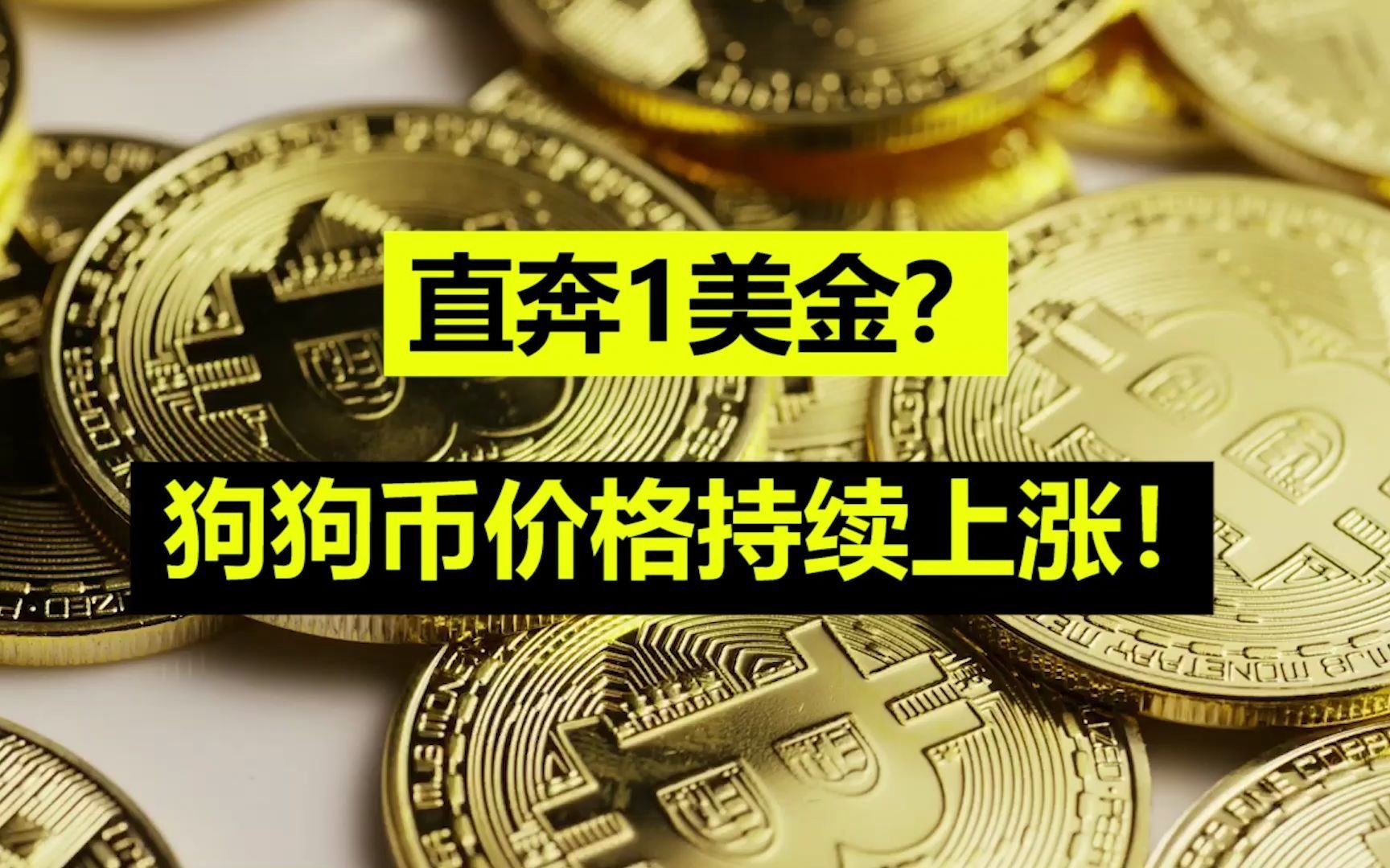 狗币的今日价格(狗币的今日价格40000倍)
