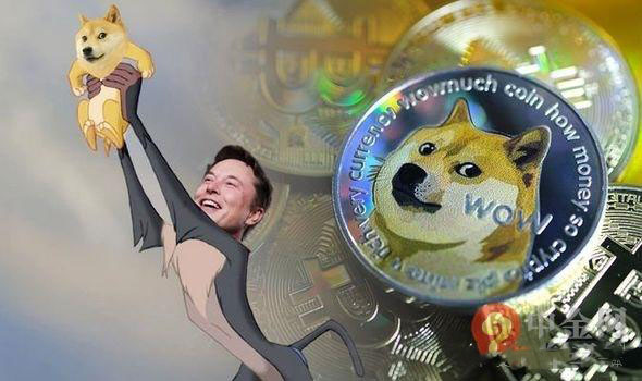 关于狗币火币行情的信息